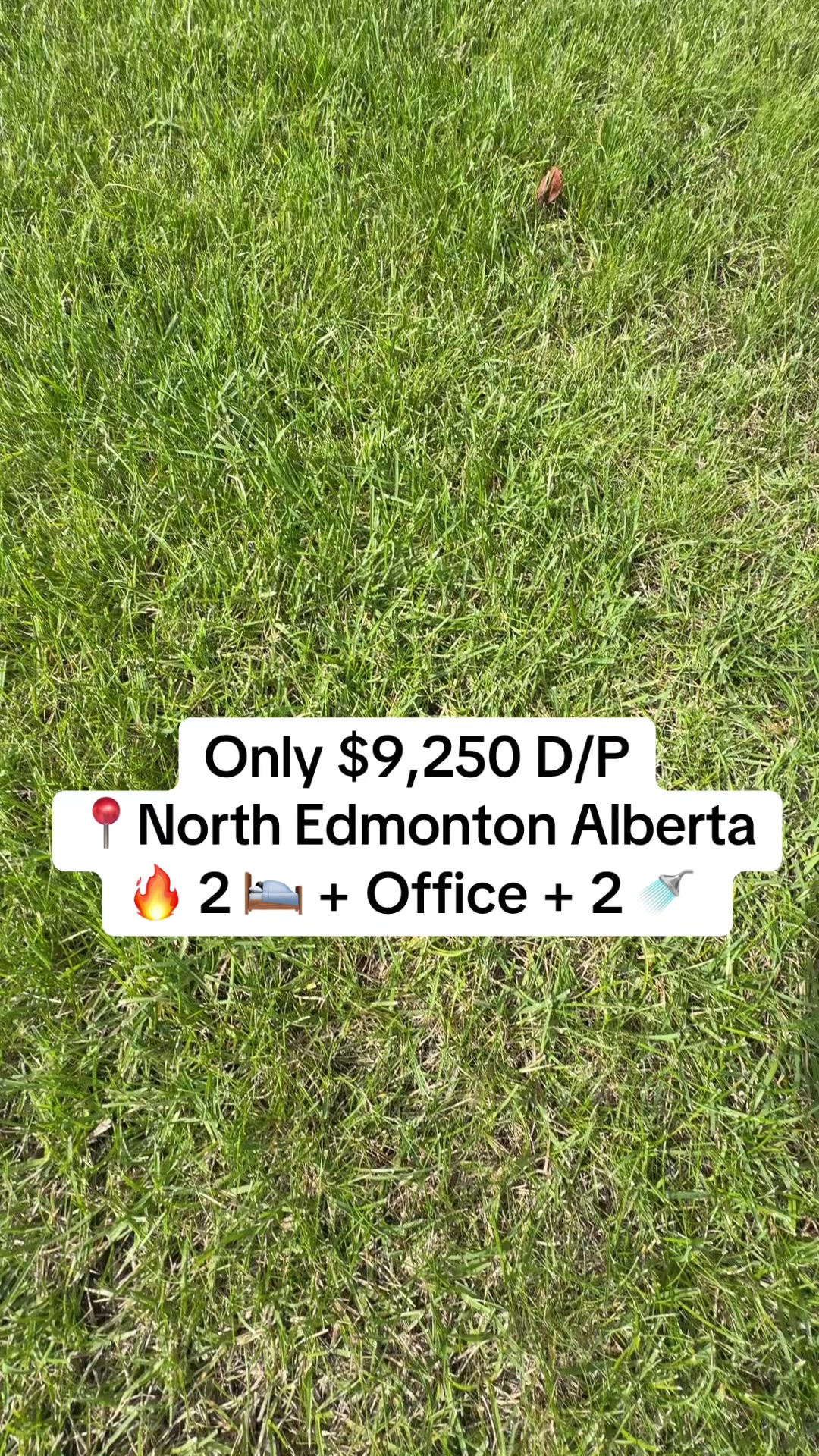 @Marshal Muhammad |YEG REALTOR®