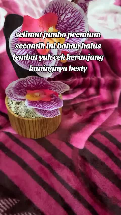 @intan indi oficial