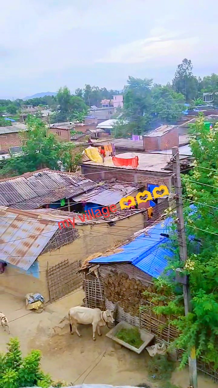 @Aarati Sahani 407