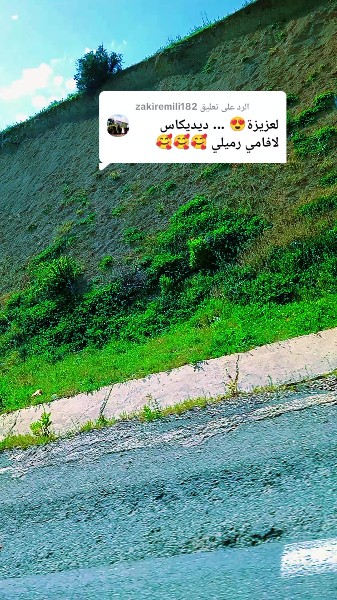 @نوارة 41