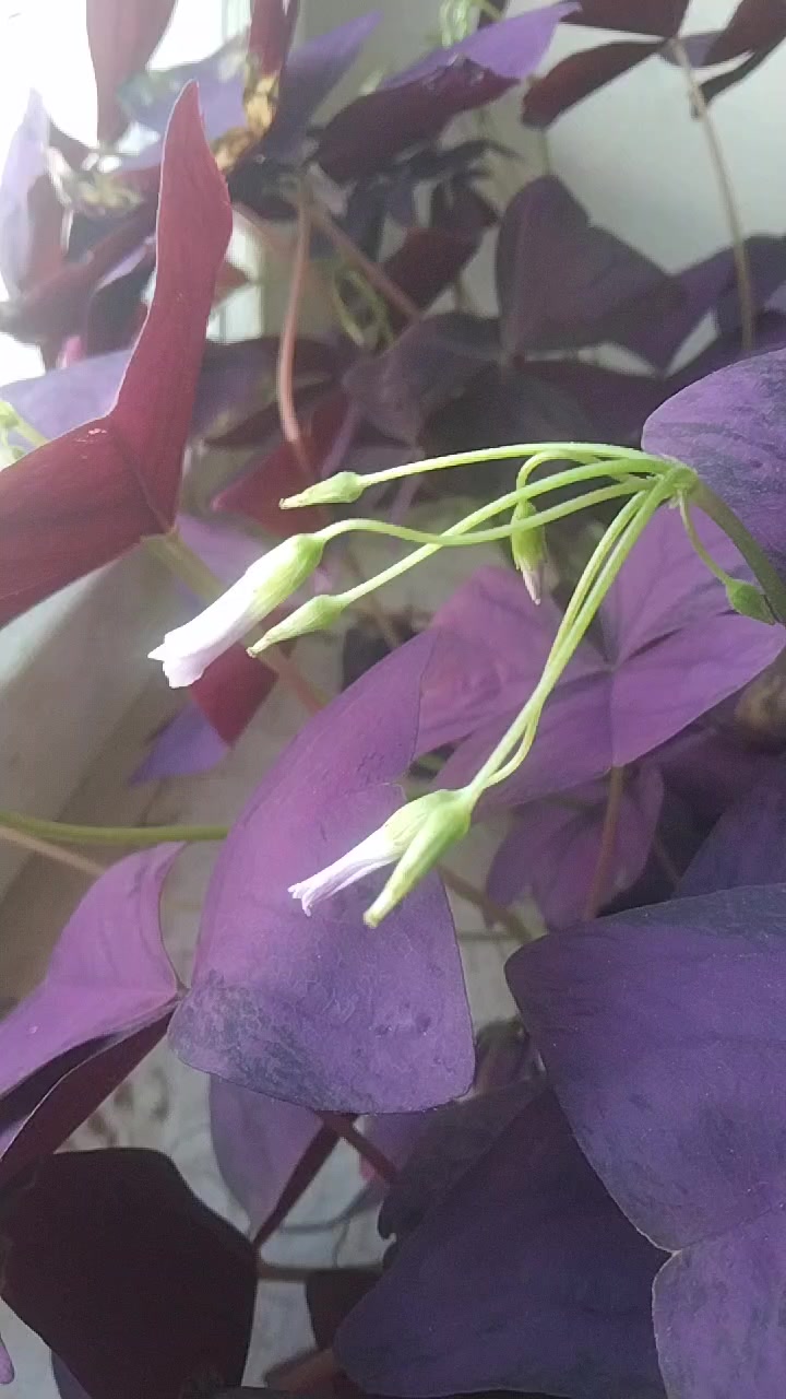 @Артур