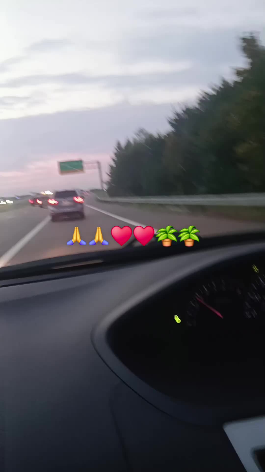 @Adayeny🥀🖤🕊💔😭🥀🕊 perez