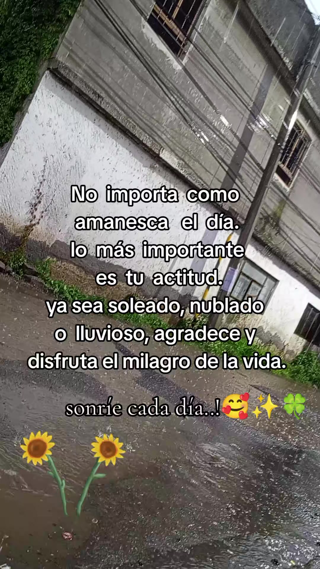 @Yaz Acosta 🧿