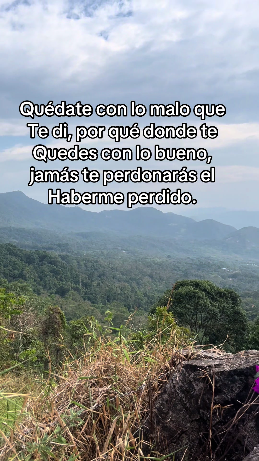 @Viviana Leal