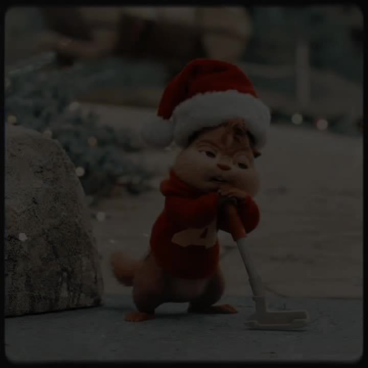 @𝘼𝙡𝙫𝙞𝙣