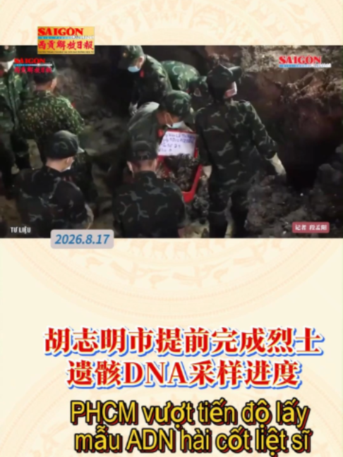 @西贡解放日报-Báo SGGP bản Hoa văn