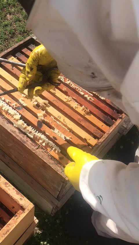 @karavan doğa dünya