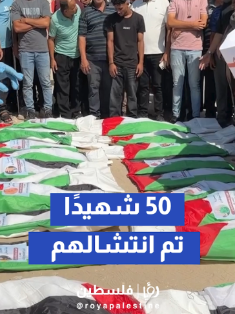 @Royapalestine رؤيا فلسطين