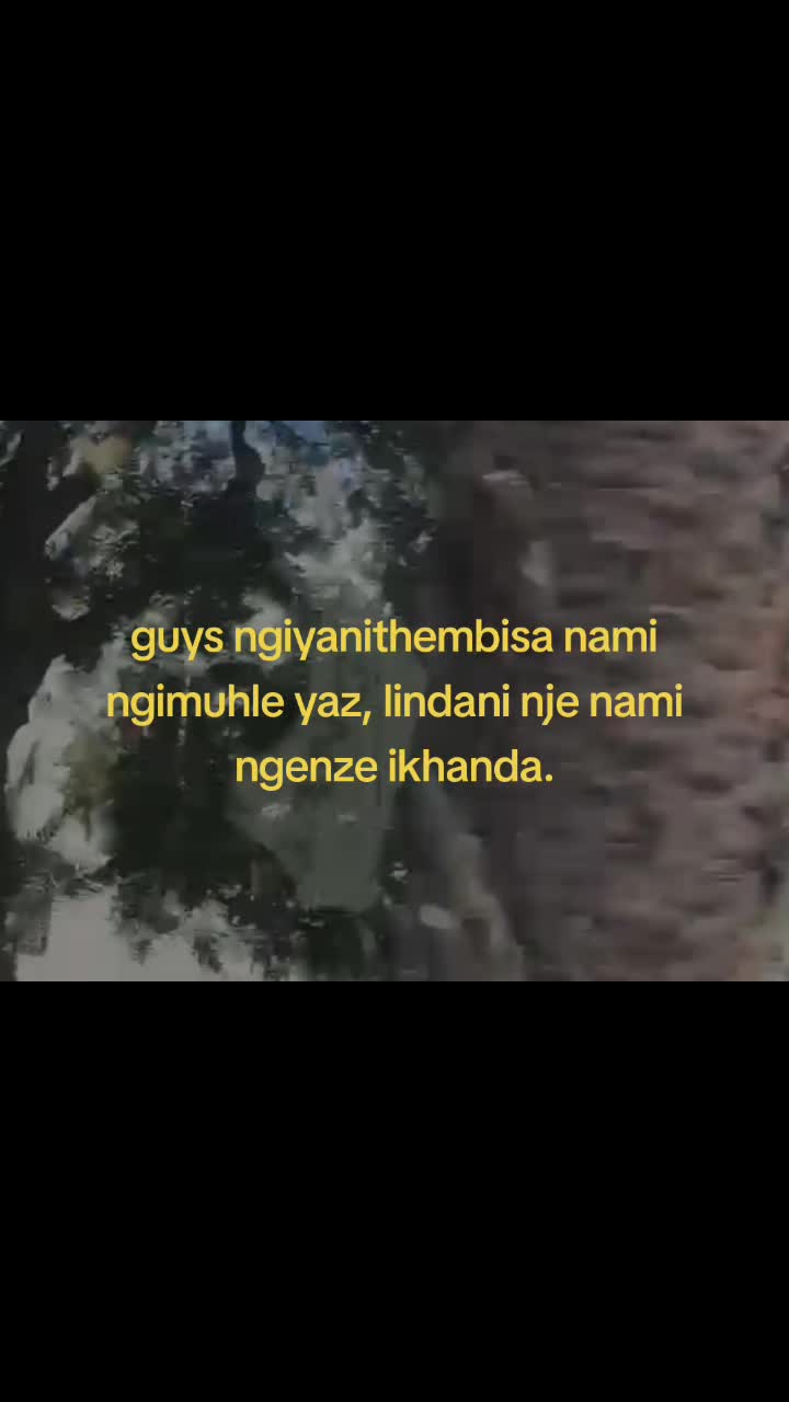 @chillguy