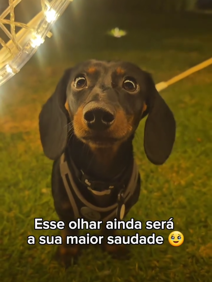 @xsergihx
