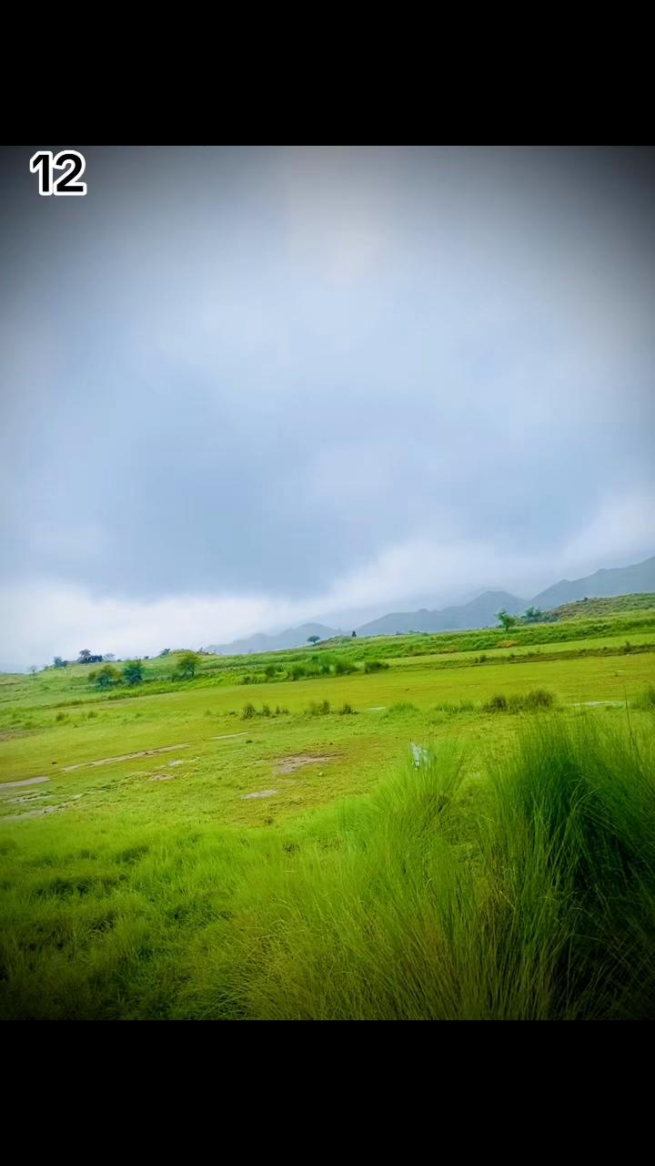 @اعوان زرعی فارم 🌾