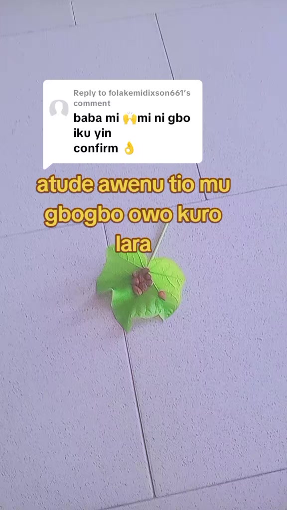 @oba ijinle ogbon agba
