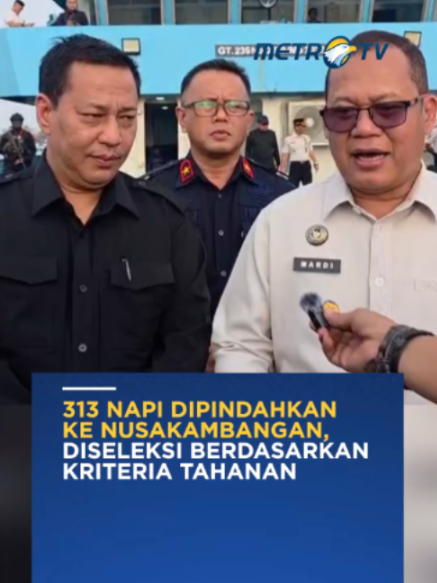 @Metro TV