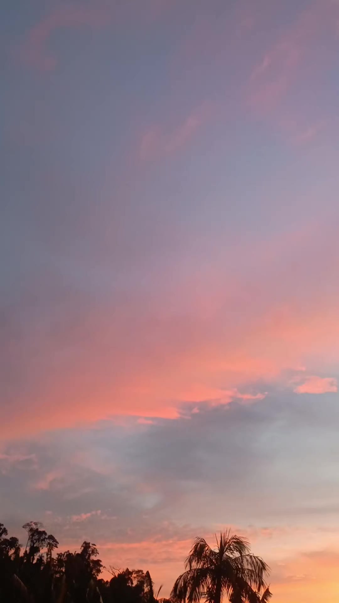 @vilmar alem&atilde;o