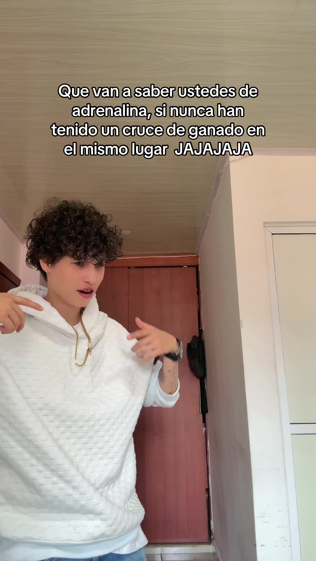 @Tendgabsoficial