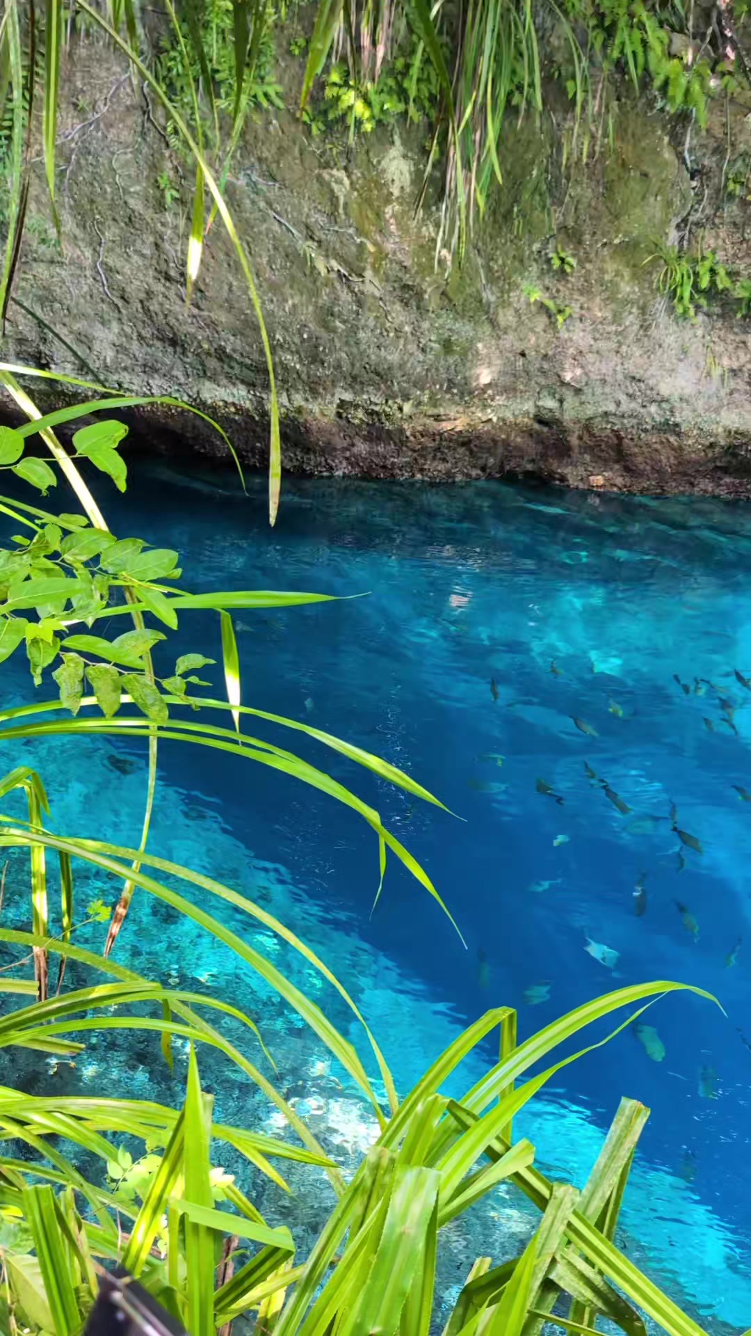 @When In Surigao