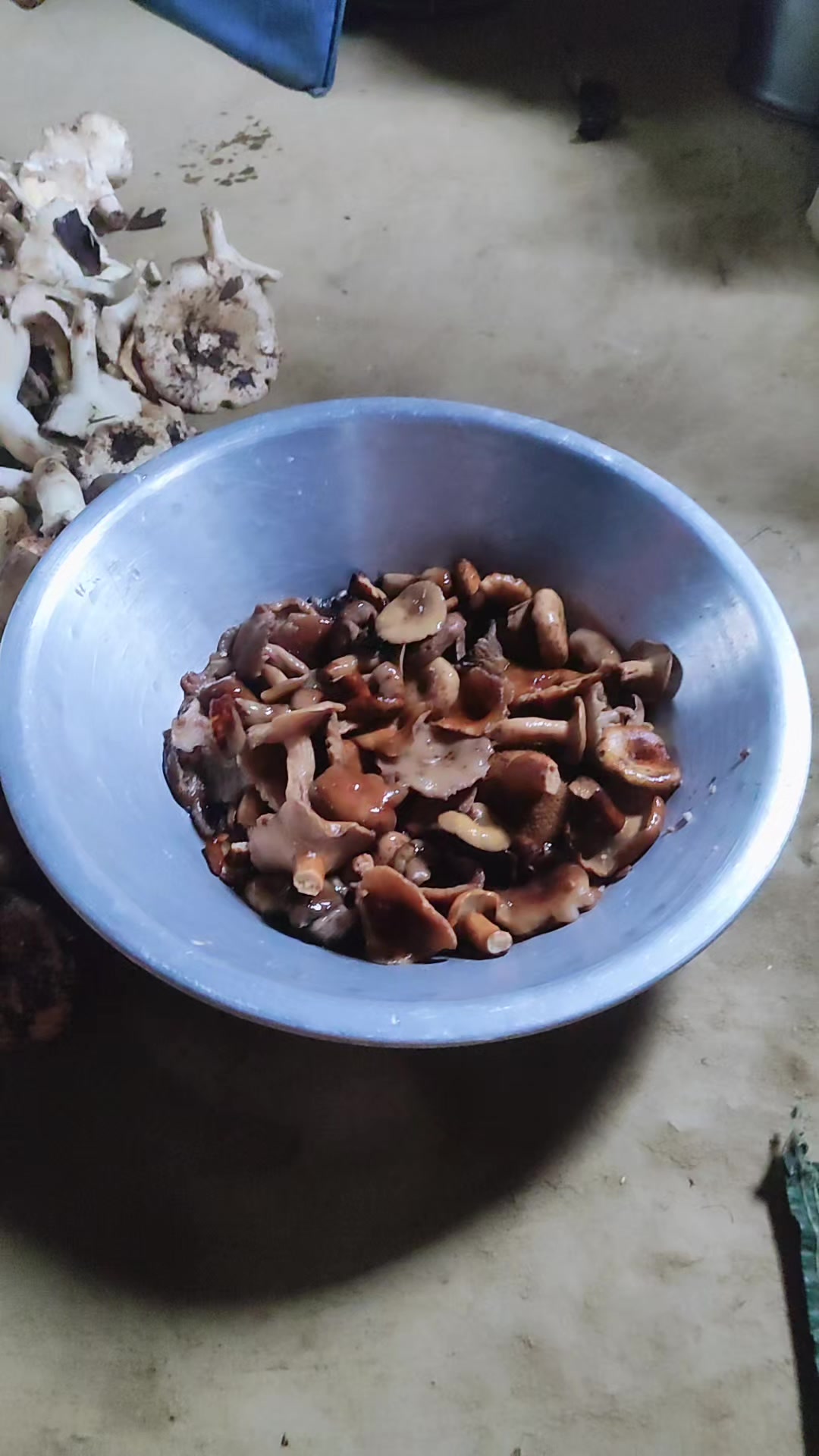 @krish magar