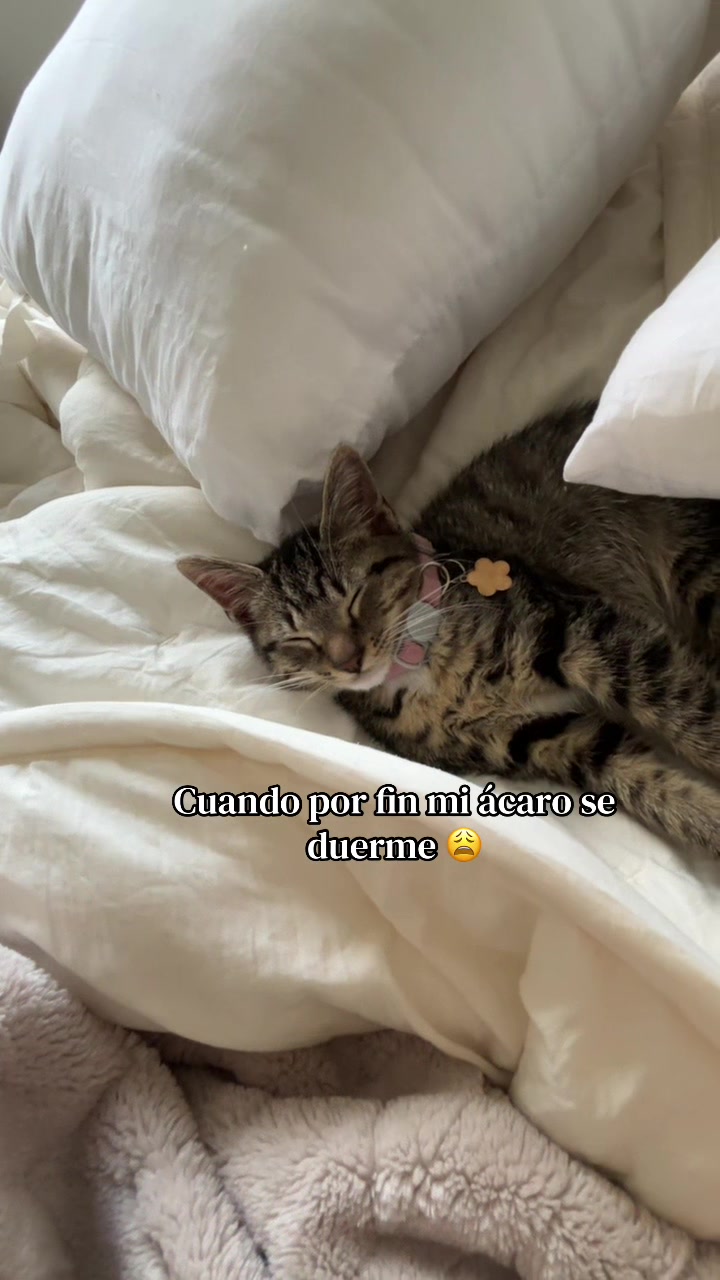 @Jessica Castro