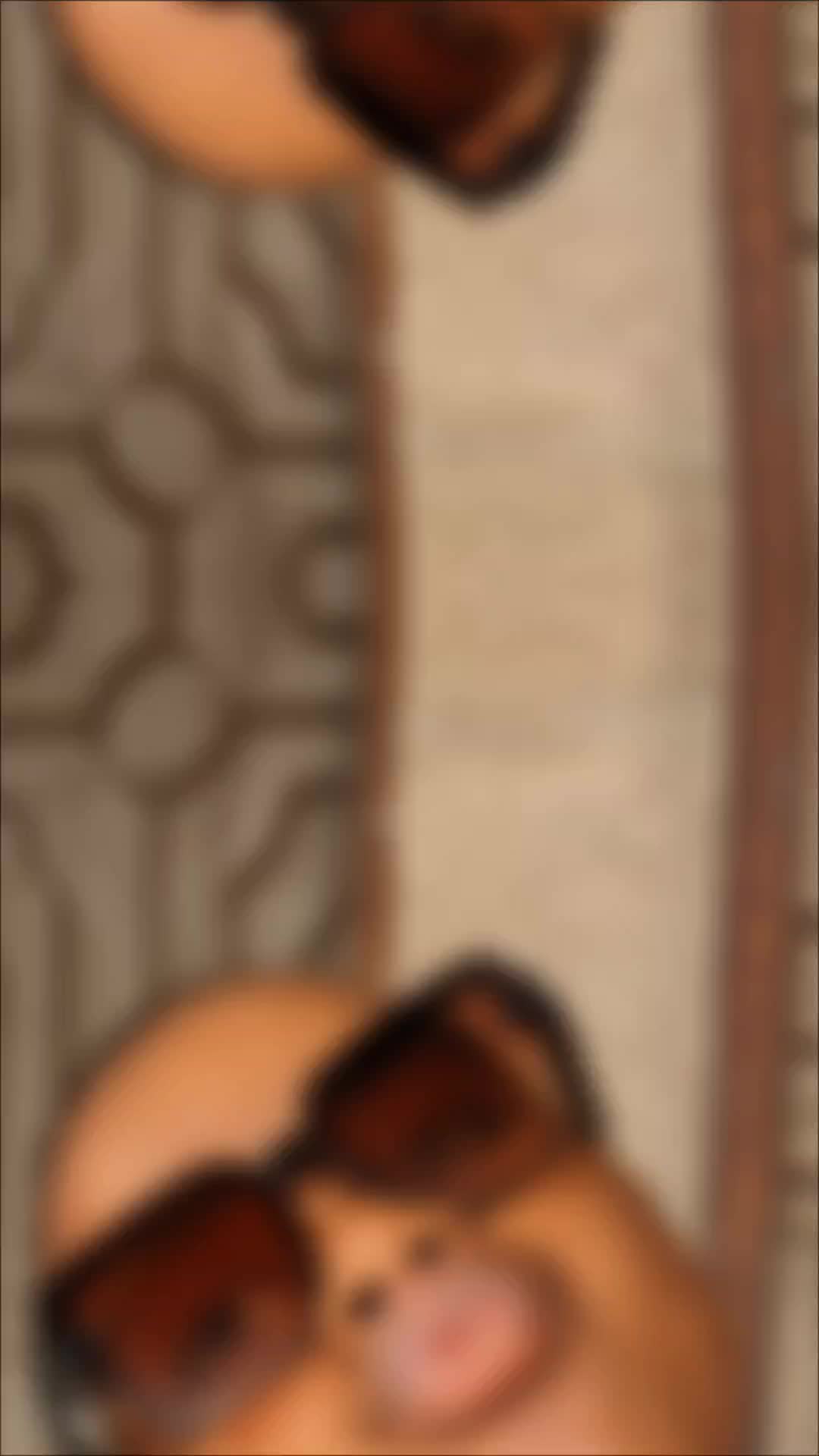 @shygirl.18