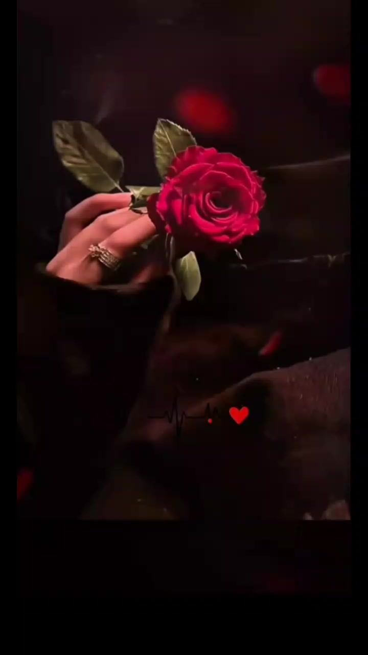 @L❤ve.music.