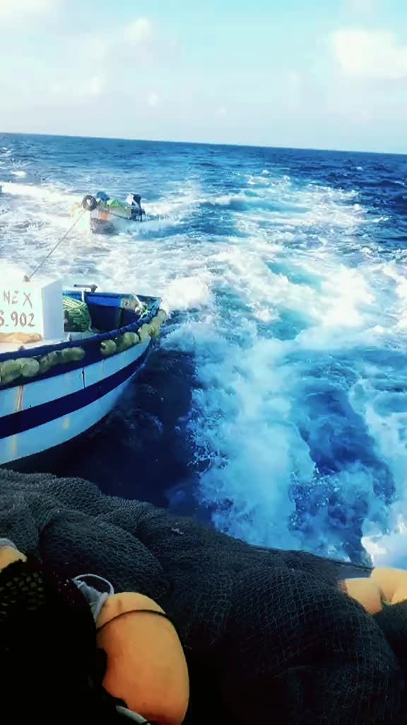 @حفيظي أمين