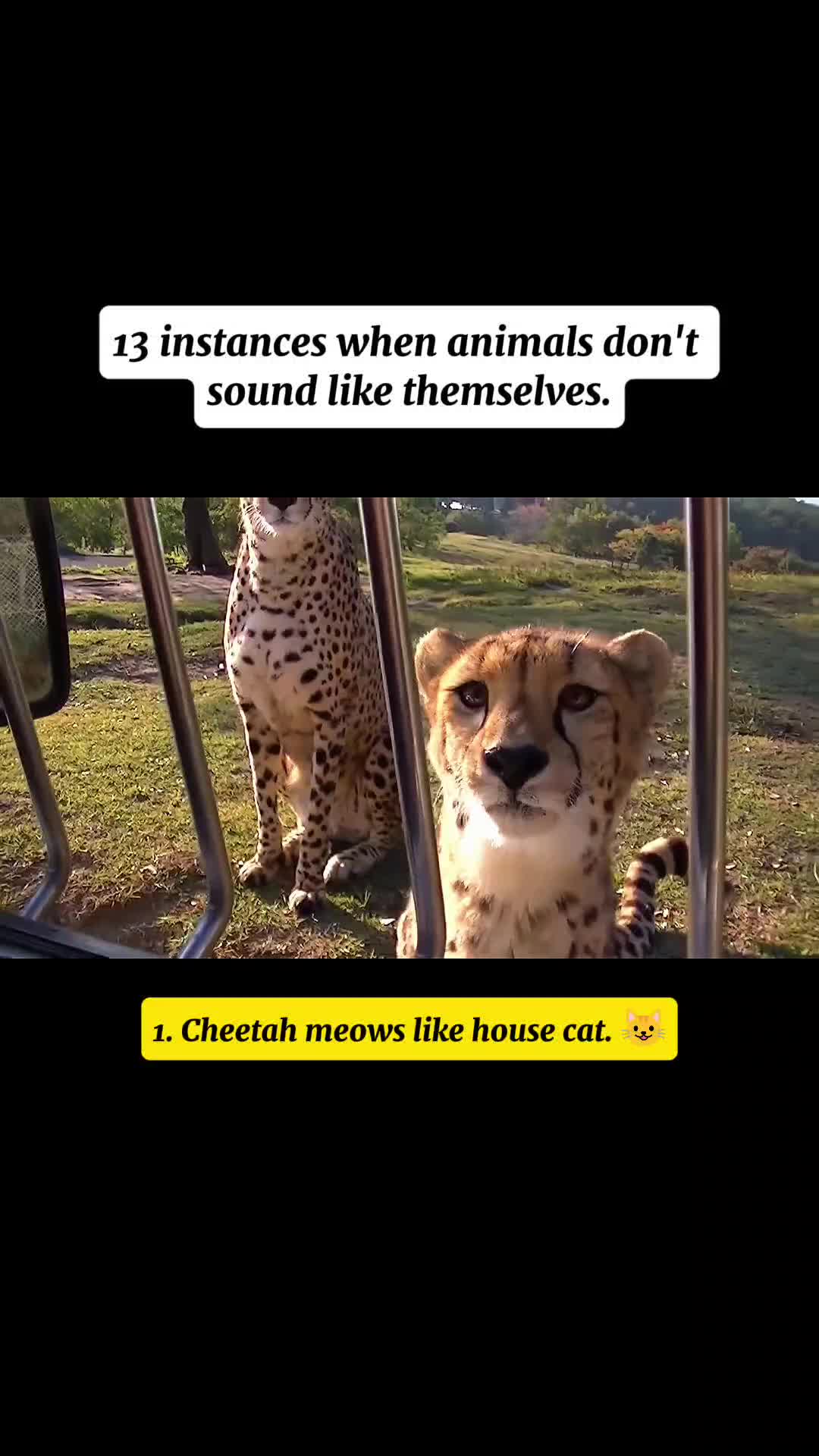 @WildwonderzZzz