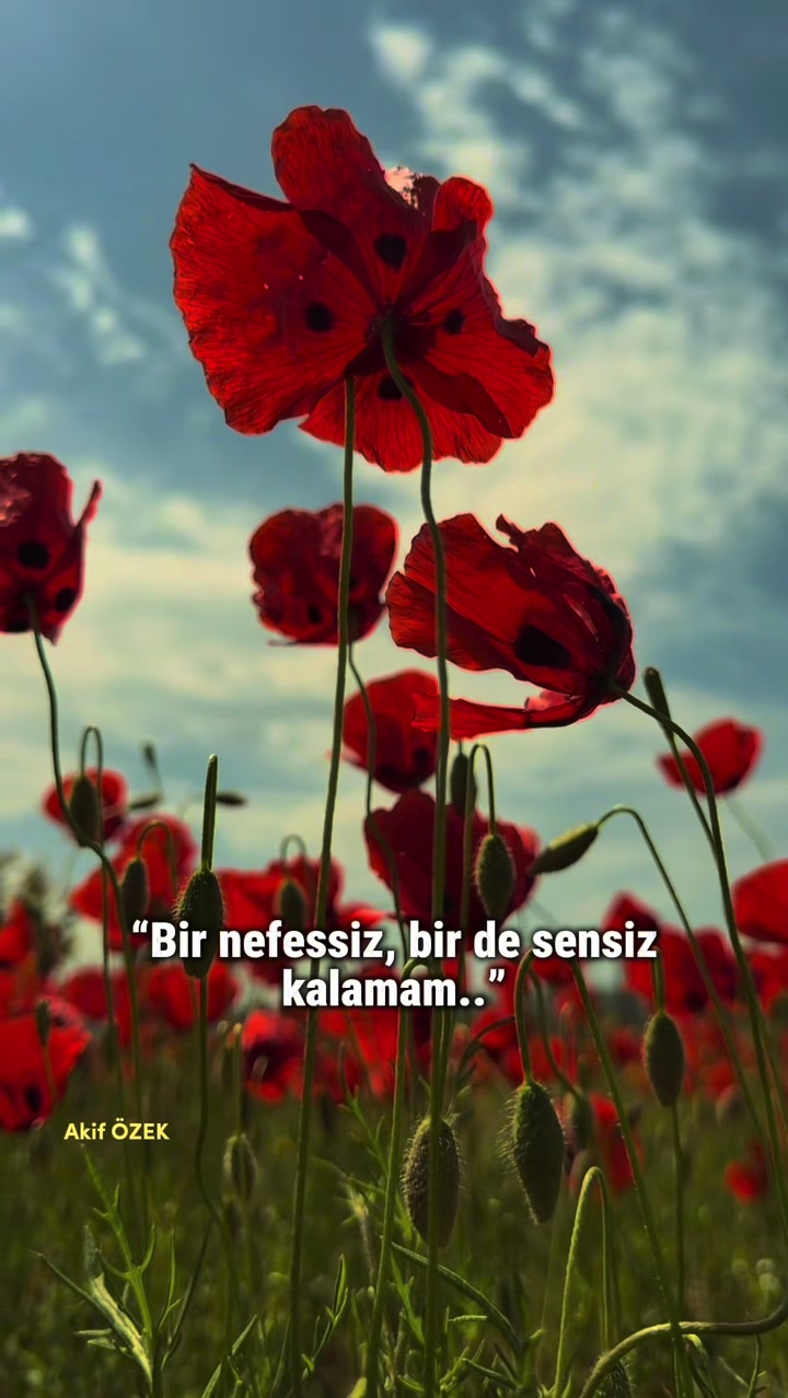 @akif.ozek