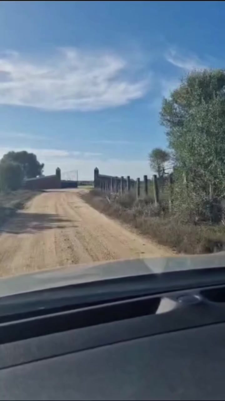 @bonisaludes3