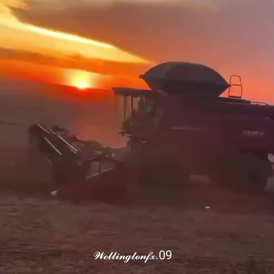 @𝓦𝓮𝓵𝓵𝓲𝓷𝓰𝓽𝓸𝓷𝓯𝔁.09