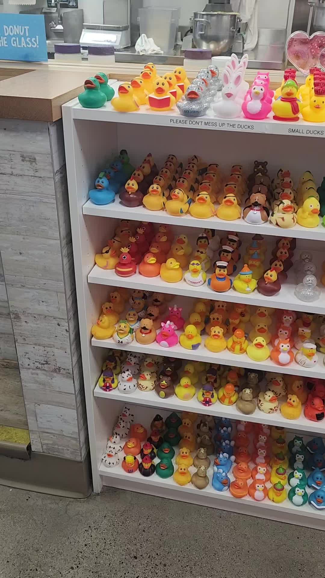 @Lord of the Ducks