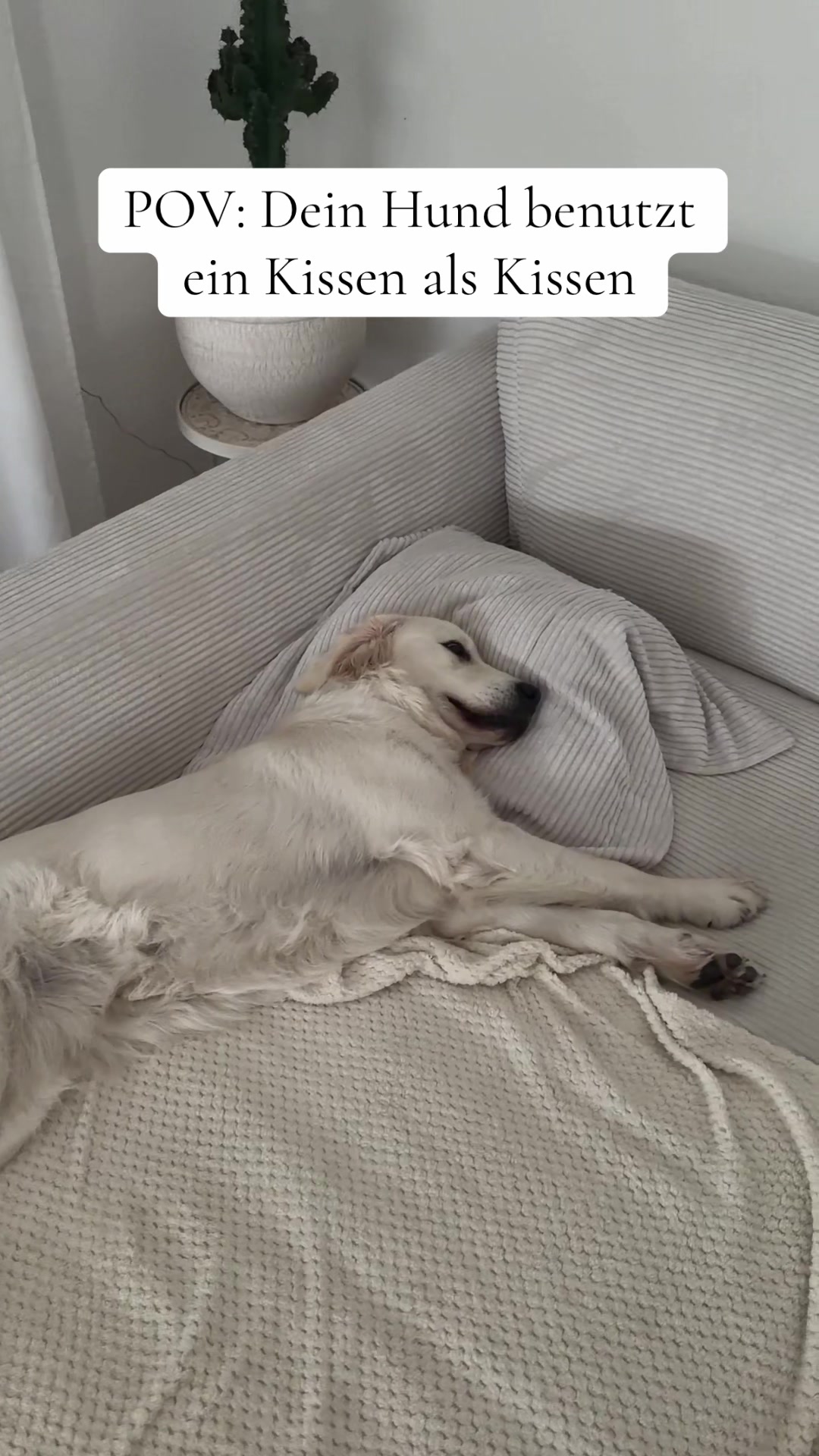 @Miss Ellie The Golden 🤍