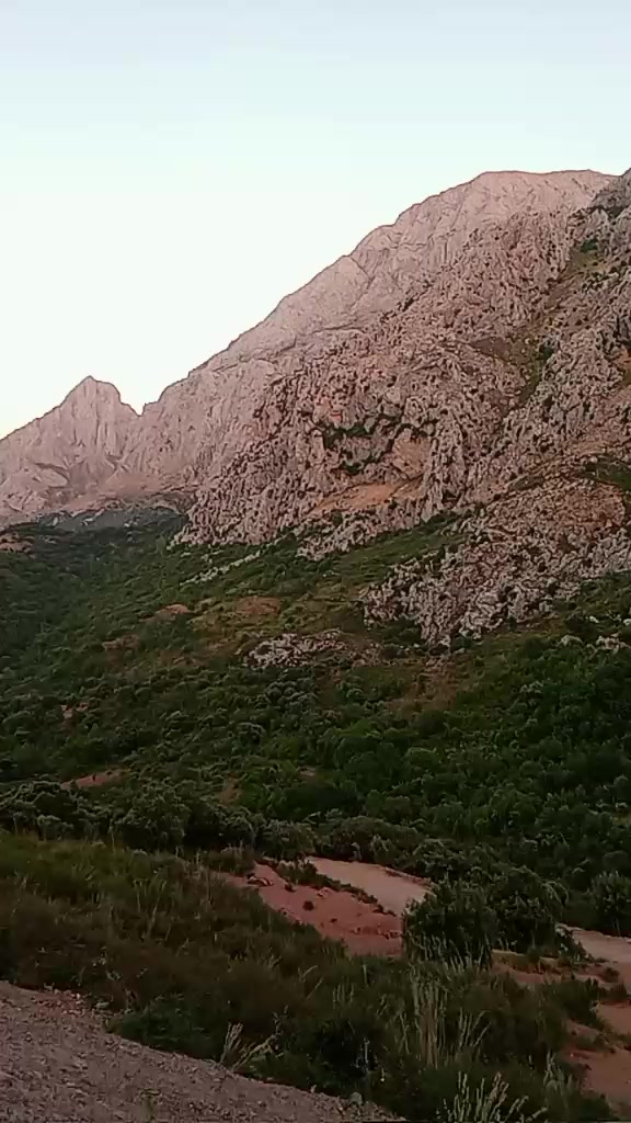 @Rafik \<>¦° Suoatuob