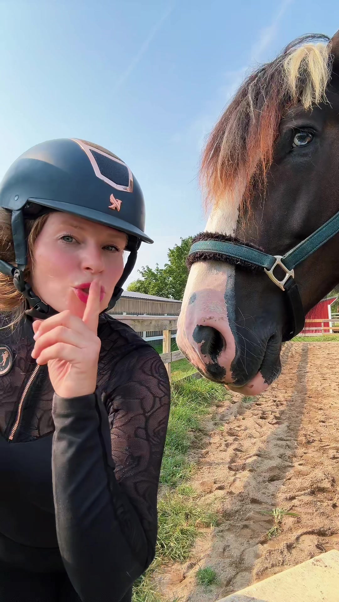 @Free Spirit Equestrian