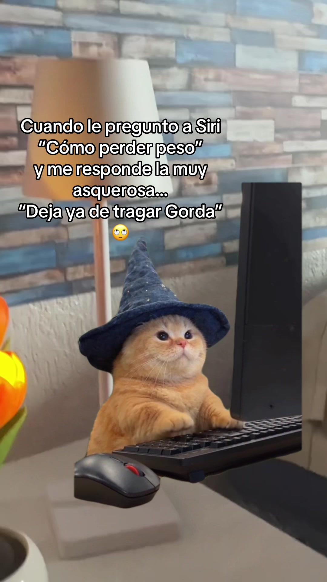 @💫Juan☄️