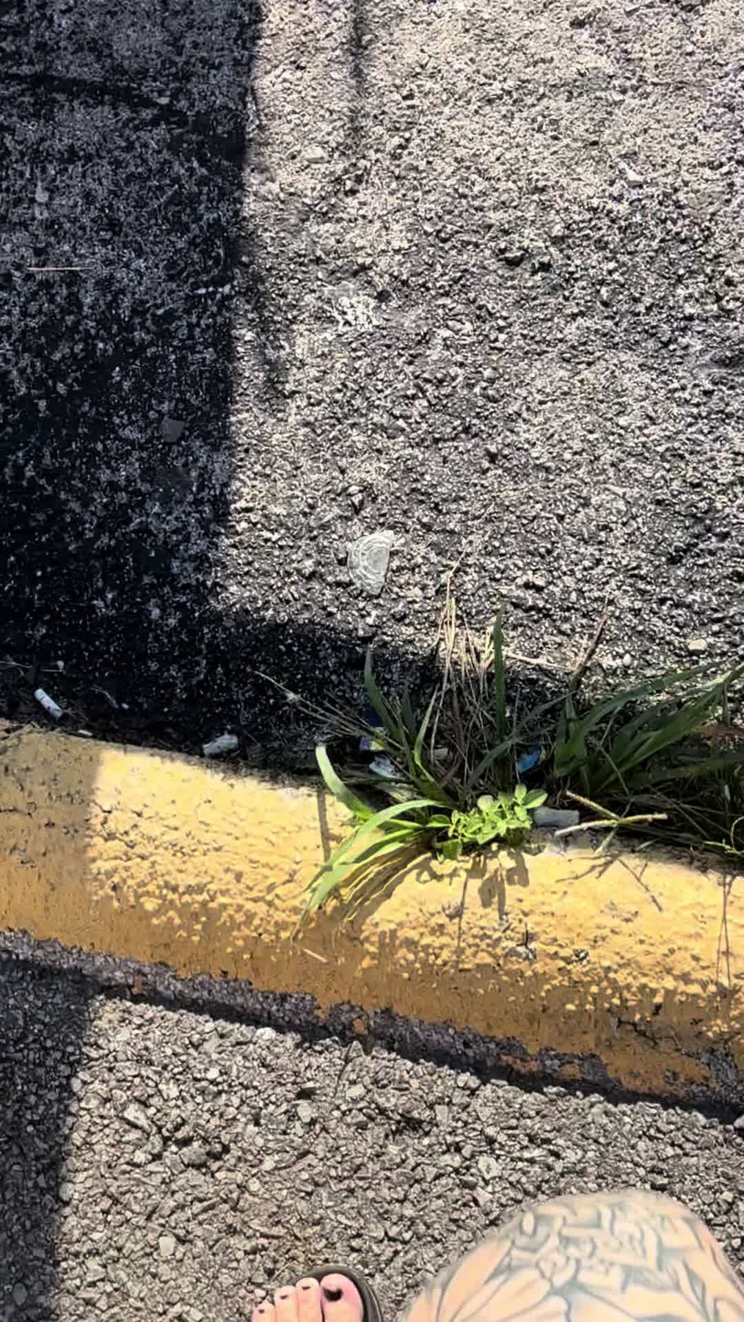 @Sara Hanson 🏳️&zwj;🌈