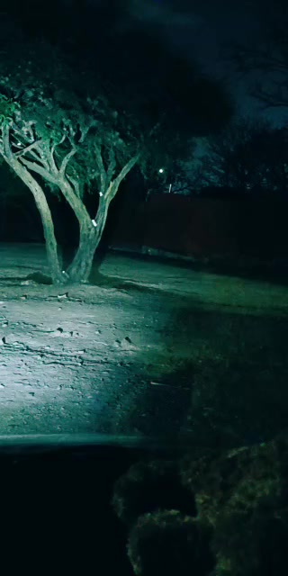 @MAGNETOX