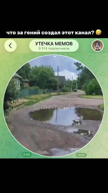 @тгк: memeute