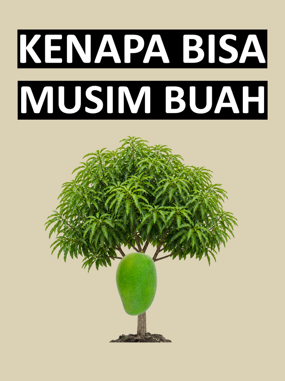 @Nahh Jadi