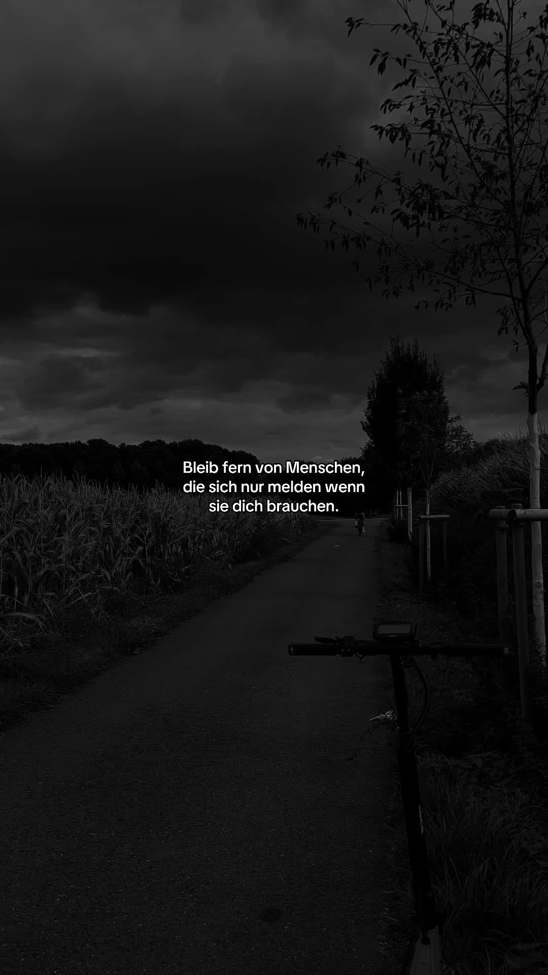 @_xmr.tx_