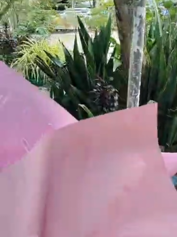 @shaiinnzyy