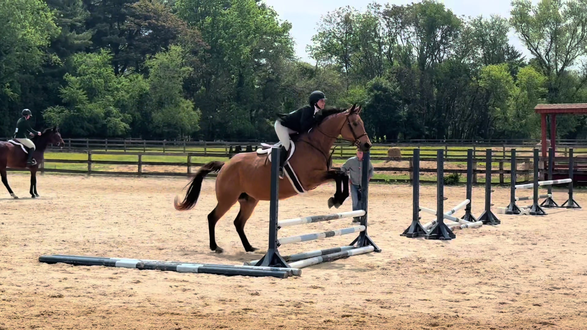 @Aftyn 🐎