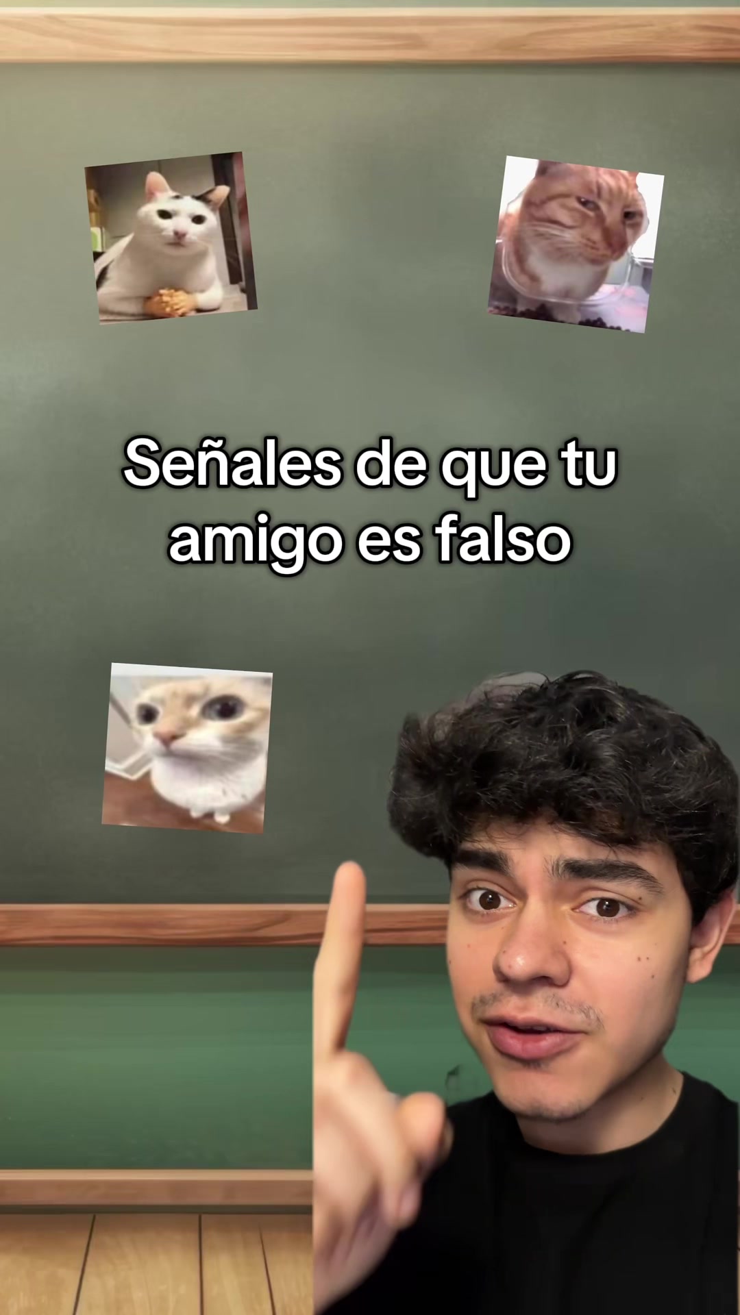 @javigainzz