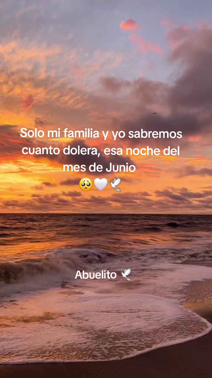 @SUE-VIDEOS