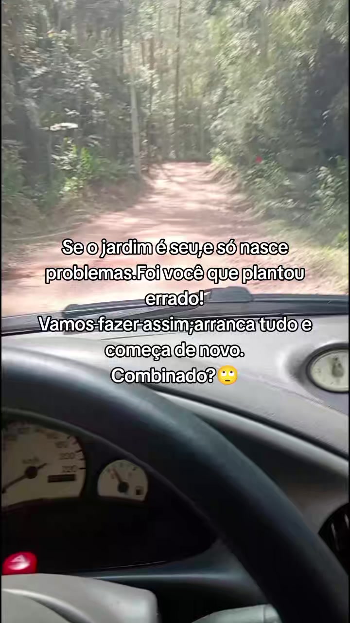@Criatório Fênix 🐦🔥
