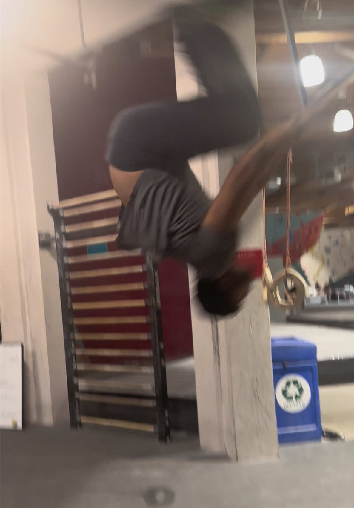 @brainzandgainz