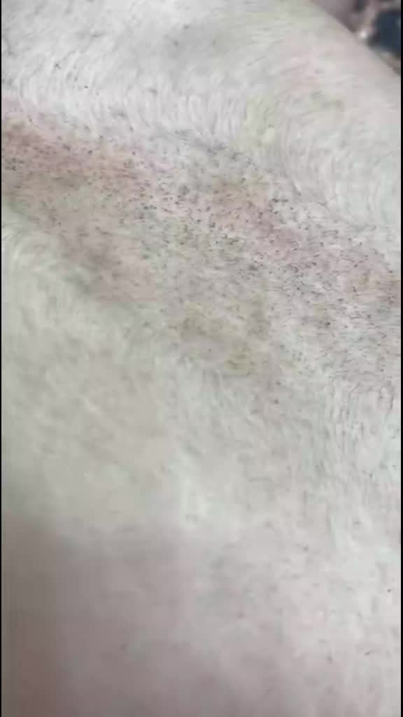 @gulu_Laser_gulu