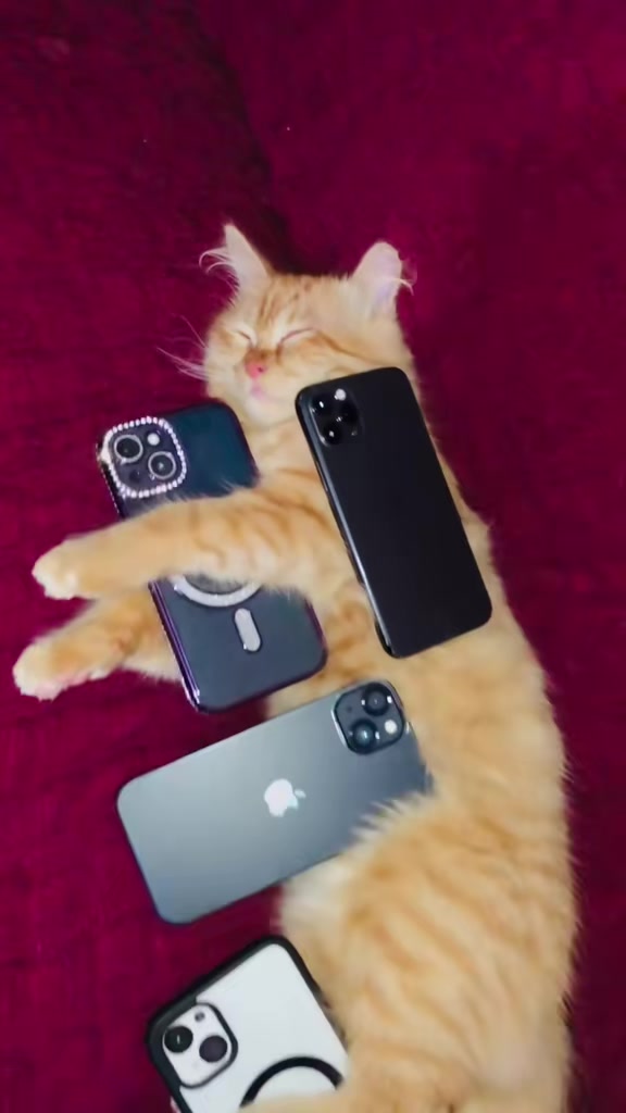 @𝐒𝐇𝐄𝐈𝐊𝐇_𝐉𝐈𝐒𝐀𝐍