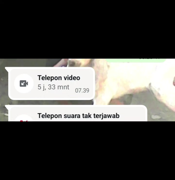 @mentil♊