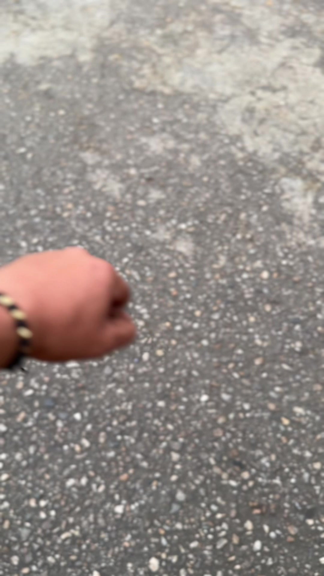 @maikolmota
