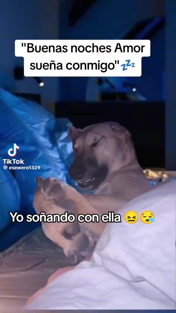 @Alexander✅️